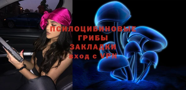 крисы Аркадак