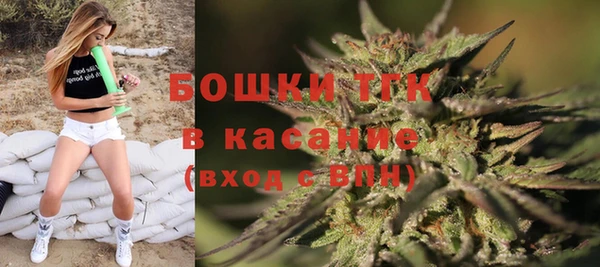 крисы Аркадак