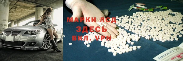 крисы Аркадак